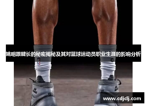 姚明跟腱长的秘密揭秘及其对篮球运动员职业生涯的影响分析